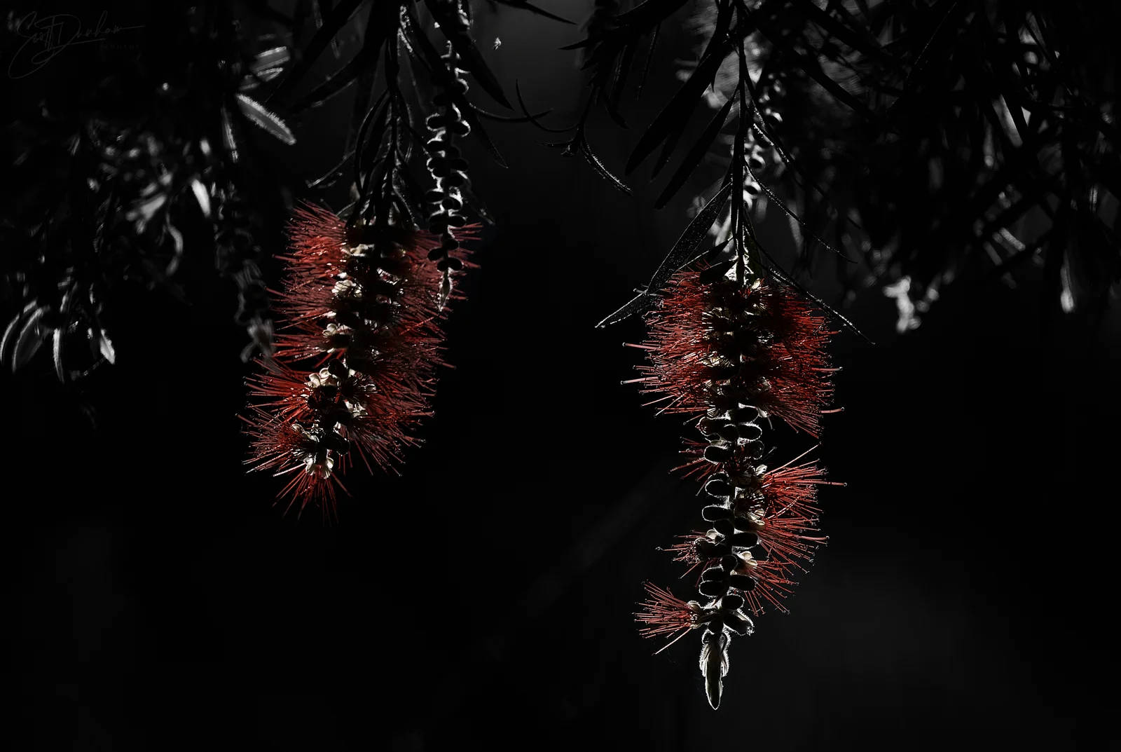 2025-09-29_Z82_0637_1